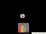 L_V23d1178 J1q351.1 Ux03 dM bd f38.jpg L_V23d1178 J1q351.1 Ux03 dM bd f38